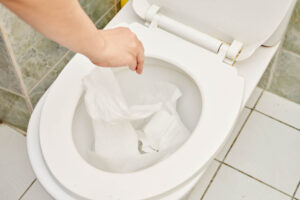 person flushing “flushable” wipes down the toilet Los Angeles, CA